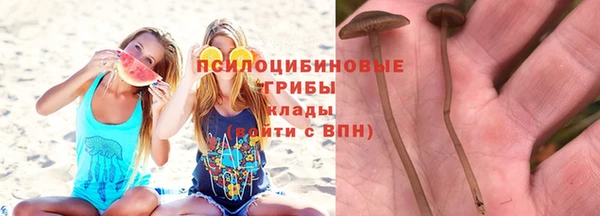 прущая мука Бугульма