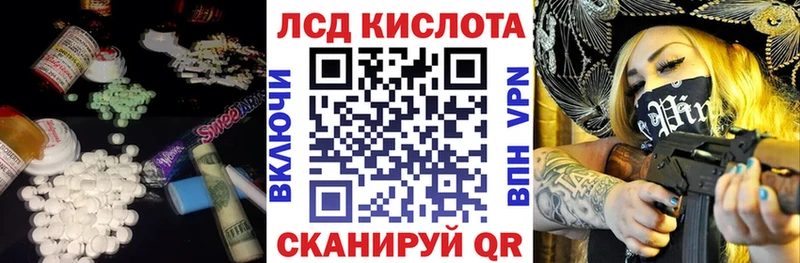как найти   Новоржев  блэк спрут как войти  ЛСД экстази кислота 